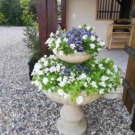 De Charme A La Cour Saint-jean * Vieux-Bourg (Calvados)